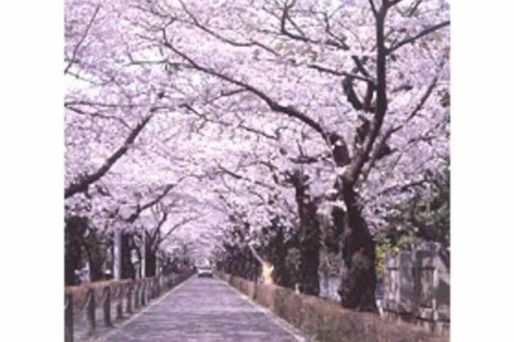 Small Villa Tokyo 渋谷まで2駅10分 青山一丁目駅徒歩3分一軒家ペット歓迎お子様歓迎駐車場あり6人までok المظهر الخارجي الصورة